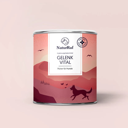 Gelenk Vital Pulver
