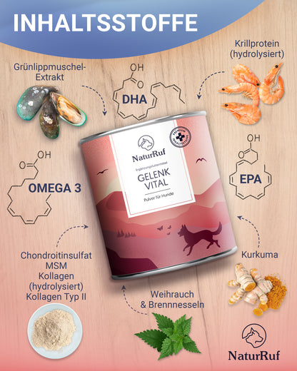 Inhaltsstoffe Naturruf Gelenk Vital: Grünlippmuschel-Extrakt, Omega 3 (DHA/EPA), Kollagen Typ II, MSM, Weihrauch, Brennnessel und Kurkuma.